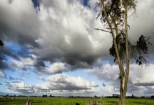 NBA:赢下比赛 灰熊队119-104独行侠队.