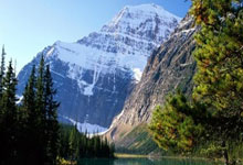 博鱼官方网站:2021美洲杯決賽巴西0-1阿根廷 迪馬利亞一錘定音助阿根廷奪冠.